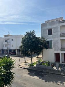 a building with a tree next to a street at Dimora Maffi in Metaponto