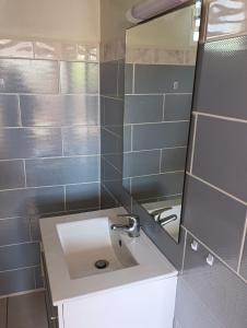 a bathroom with a sink and a mirror at Chez Patrick in Sainte-Rose