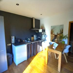 a kitchen with a counter and a table in a room at Chez Madame Irma in Sougné-Remouchamps
