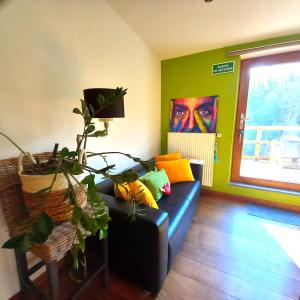 a living room with a black couch with colorful pillows at Chez Madame Irma in Sougné-Remouchamps