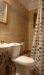 a bathroom with a toilet and a sink at Goura Guesthouse Lake Doxa Mountain Retreats in Goura +31 photos