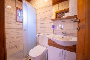 a bathroom with a white sink and a toilet at Birol Sengun Bag Evi in Safranbolu +51 photos