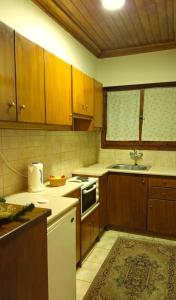 a small kitchen with wooden cabinets and a sink at Goura Guesthouse Lake Doxa Mountain Retreats in Goura