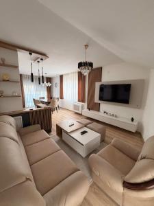 a living room with a couch and a tv at Apartmani EMA SL in Vranje