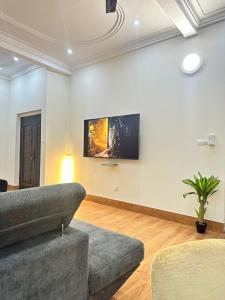 a living room with a couch and a tv on a wall at Appartement d'une chambre salon in Wonyomé
