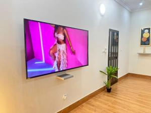 a flat screen tv hanging on a wall in a room at Appartement d'une chambre salon in Wonyomé