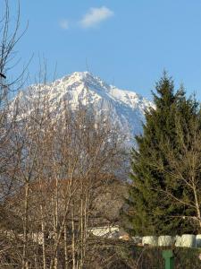 a snow covered mountain with trees in front of it at Ekoviki2 in Kranj