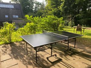 eine Tischtennisplatte auf einer Terrasse in der Unterkunft Triangel in Schmilau
