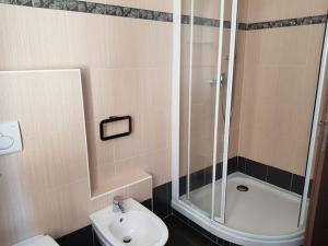 a bathroom with a shower and a toilet and a sink at Il Ciano in Sondrio