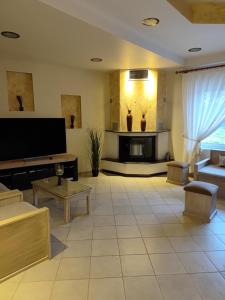 a living room with a couch and a fire place at Hotel Isidora in Loutrós