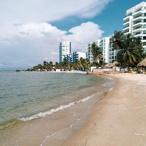 a beach with buildings and palm trees and the ocean at Hotel Portoalegre in Coveñas