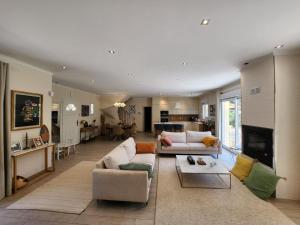 a living room with two couches and a fireplace at happyfew villa laghet in La Trinité
