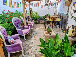 a group of chairs and a table in a garden at Shalom_MatSofy in Santiago