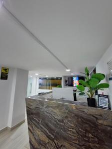 ein Raum mit einer Theke mit einer Topfpflanze in der Unterkunft Hostal Capullode Seda in Zapatoca + 24 Fotos