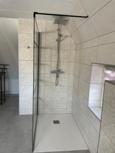 a shower with a glass door in a bathroom at Cora in Pruchten +20 photos