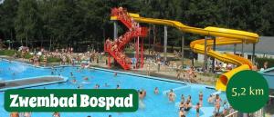 a group of people in a pool at a water park at Boshuisje Dille te Veluwe in Putten