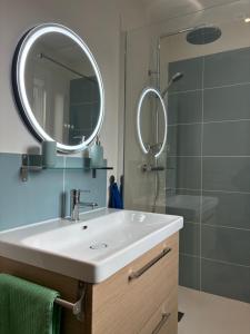 a bathroom with a sink and a mirror and a shower at Fleur des Vents in Saint-Flour