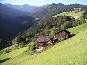 a house on the side of a green hill at Ferienwohnung Stirnimann-Gemsch in Valzeina