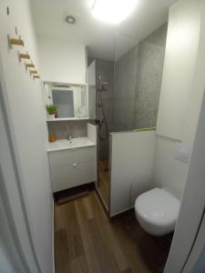 a small bathroom with a toilet and a sink at Un écrin chic à deux pas de la mer in Merlimont