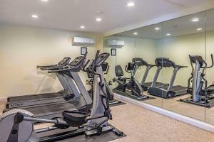 a gym with several tread machines and a mirror at Budget Inn in Ithaca