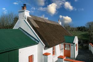 an old white cottage with a green roof at Killee Cottage in Mitchelstown