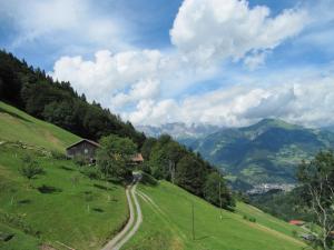 a house on a green hill with a dirt road at Ferienwohnung Stirnimann-Gemsch in Valzeina +5 photos
