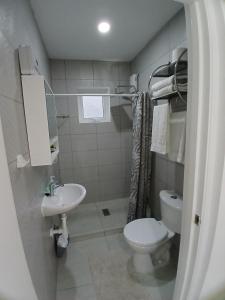 a small bathroom with a toilet and a sink at Cayenas Apartament in Willemstad