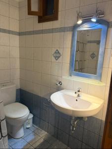a bathroom with a sink and a toilet and a mirror at Aegean soul apartments in Halki +23 photos