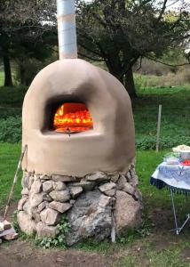 a stone oven with a pizza inside of it at Bohemian accommodation in a magical idyll! in Simrishamn
