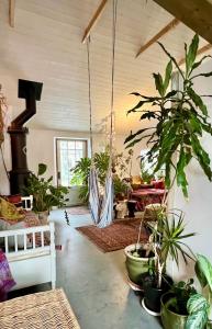 a room filled with lots of potted plants at Bohemian accommodation in a magical idyll! in Simrishamn