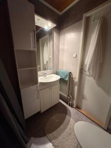 a bathroom with a sink and a mirror at Boreal Cottage in Karungi +26 photos