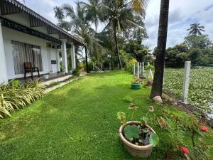a yard of a house with some plants in it at Riverview villa in Alleppey