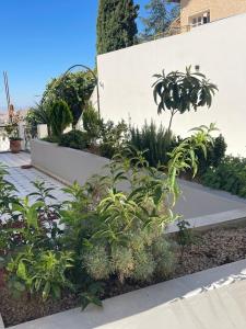 Сад в Apartment 030 +18 фотографий