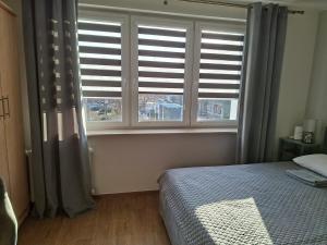a bedroom with a bed and two windows with shutters at Mieszkanko w centrum in Lidzbark Warmiński
