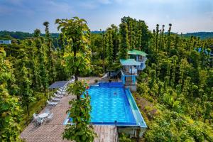 an overhead view of a swimming pool in a forest at Green Peak Resorts in Baitarāni