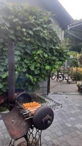 a grill with a bunch of oranges on it at Garage Home in Yaremche