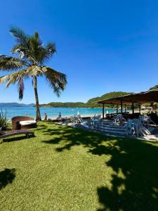 a beach with chairs and a palm tree and the ocean at Suíte dos Reis in Angra dos Reis