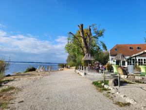 a beach with a tree and a building and the water at Ferienwohnung Schäfer in Siegsdorf