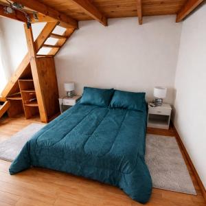 a bedroom with a large green bed with two tables at Alquiler por Día SyA Cipolletti in Cipolletti