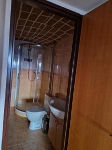 a bathroom with a shower and a toilet and a sink at Small House on Vrbica in Vrbice