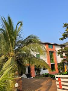a palm tree in front of a building at Blue Diamond Dapoli in Murūd