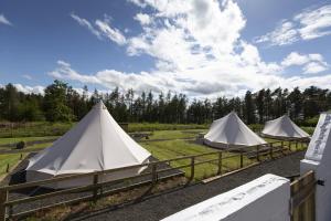 three white tents in a field with a fence at Cheviot Glamping Ltd in Ford