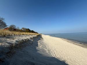 a sandy beach next to a body of water at Residence Black Eagle Lubmin Strand in Lubmin