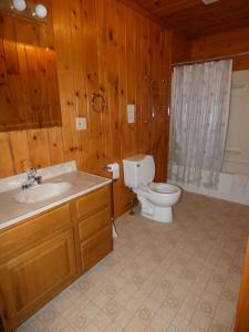 a bathroom with a toilet and a sink at Old Stoney's Walleye- Pet Friendly in Arbor Vitae +17 photos