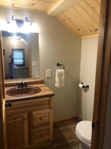 a bathroom with a sink and a toilet and a mirror at Gresham Shores - Big Dipper - PET FRIENDLY in Arbor Vitae