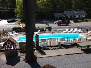 a swimming pool with lounge chairs and a tree at Do-Rest Court in Lake George