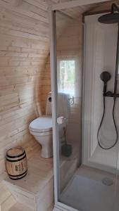 a bathroom with a toilet in a wooden cabin at Tonneau Bourgignon in Le Rousset