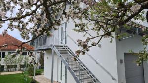 a staircase in a white building with pink flowers at Ferienwohnung Hagebutte in Bad Bocklet +2 photos