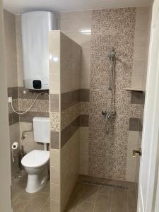 a bathroom with a toilet and a shower at Dunaparti Kuckó in Kiskunlacháza