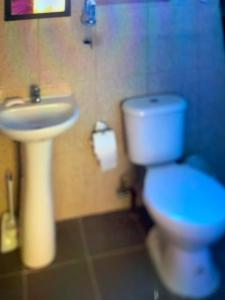 a bathroom with a white toilet and a sink at Cabañas río seco in Punta Arenas